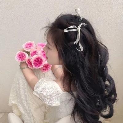 哈兰·科本的庇护所
